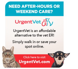 UrgentVet Contact Us Page Button1